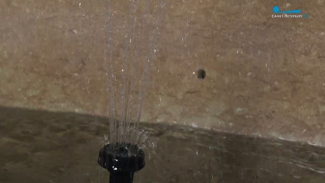 Секреты Старой Коломны: экскурсия по историческому району Петербурга смотреть онлайн