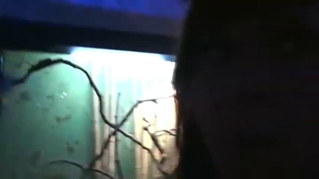 Приятного аппетита! Спасибо су4ка. смотреть онлайн