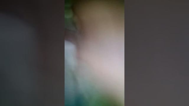 Как обмануть электрический градусник!! смотреть онлайн
