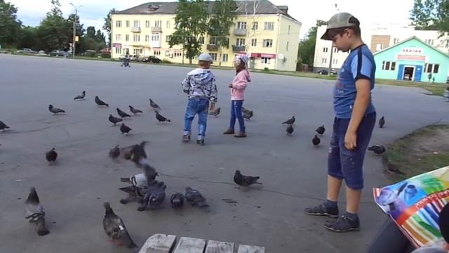 город Волхов смотреть онлайн