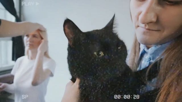 МЯГКОЕ ВОЛОКНО И НАСЫЩЕННЫЙ ЦВЕТ / Ресницы elSHINE / Backstage смотреть онлайн