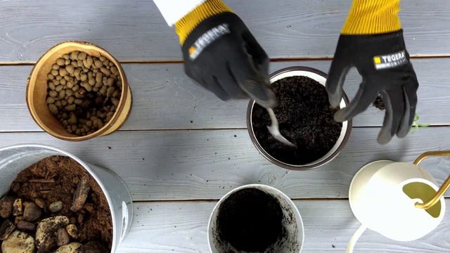 Ароматные травы для кухни из семян | Делюсь своим опытом в выращивании мяты, базилика и розмарина смотреть онлайн