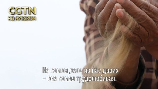 Как исчезают пустыни？ смотреть онлайн