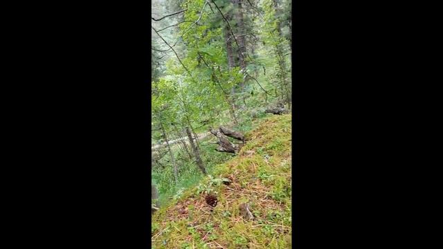 A solo hike to the Western Sayan Mountains. Part 1. Одиночный поход Западные Саяны. Арадан. Часть 1 смотреть онлайн