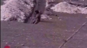 Первая Карабахская война. Карабах Азербайджан, 1992-1994