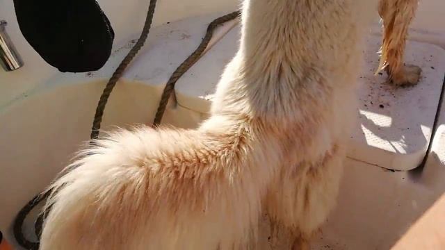 Камчатка Вилючинск смотреть онлайн