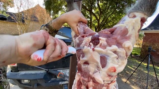 Catch Clean & Cook MONSTER Wild Boar (Feed the hungry) смотреть онлайн