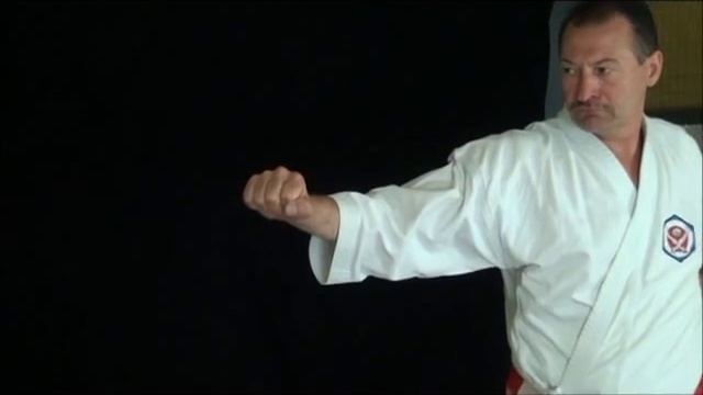 Hubert Laenen Bunkai Jutsu Heian / Tekki Kata смотреть онлайн
