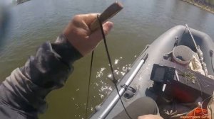 сом на квок! ловля сома на квок! Рыбалка на Волге 2019