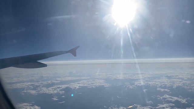 Перелет Казань-Сочи | Ural Airlines | Airbus 320