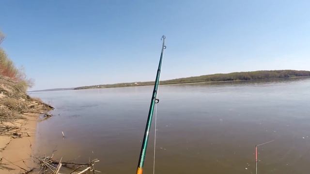 Сом на блесну тоже ловится! смотреть онлайн