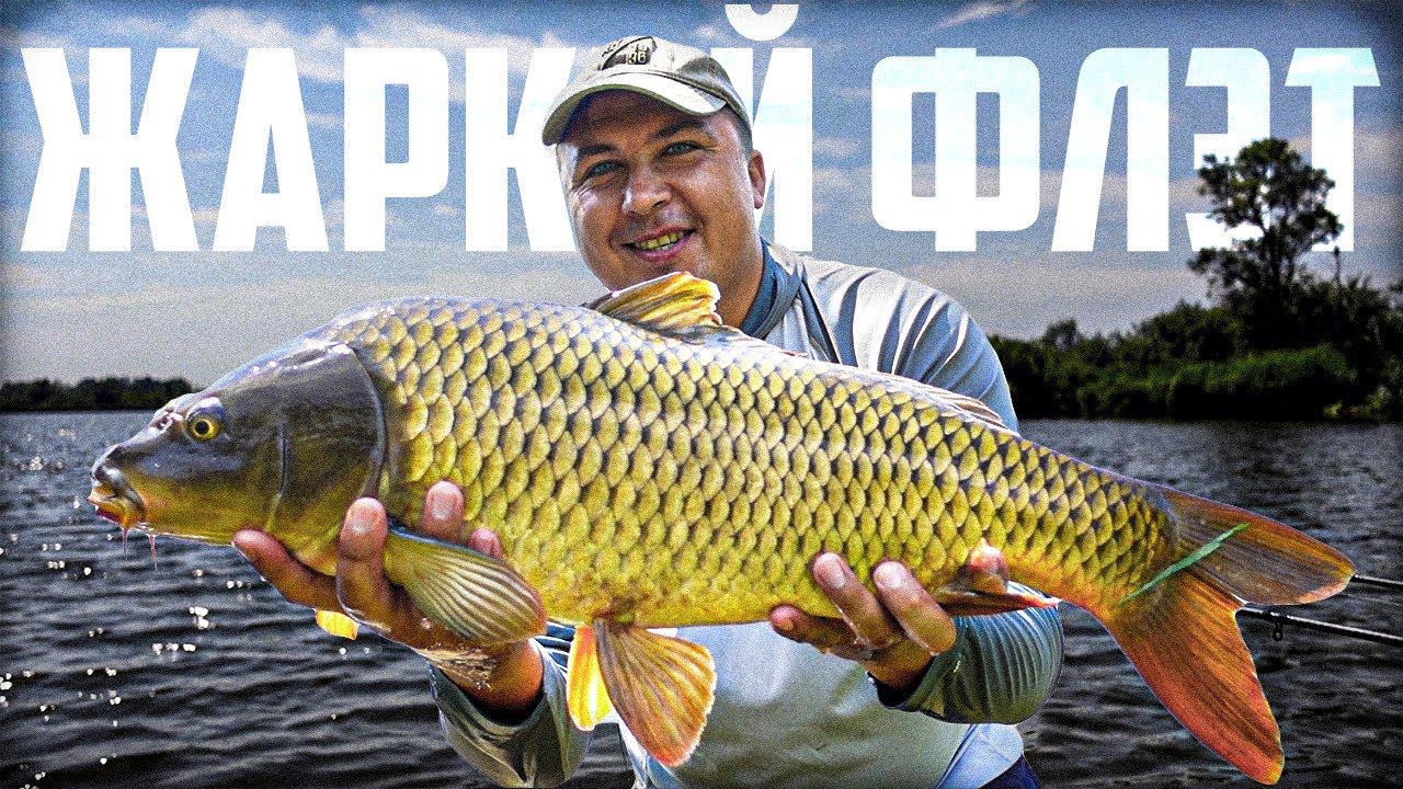 ЗДОРОВЫЕ КАРПЫ ЕЛЕ ВЛЕЗАЮТ В ПОДСАК! Поехал в Мелководную Заводь, А ТУТ В ЖАРУ СТОИТ ВСЯ РЫБА! смотреть онлайн