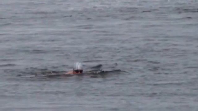 Миля Высоцкого 2013. Заплыв моржей на Волге 4 ноября смотреть онлайн