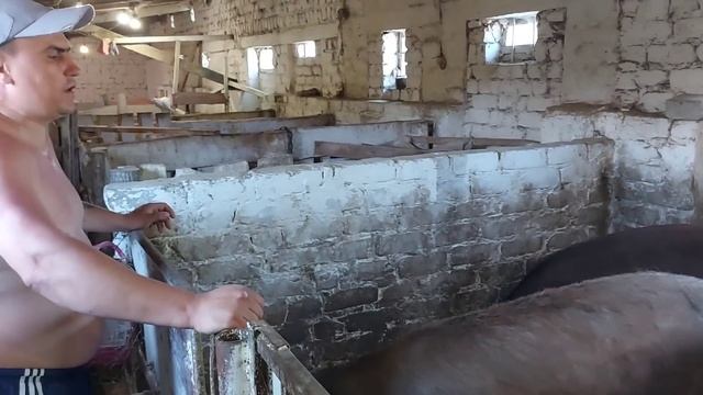 Как дела на хозяйстве?!!! смотреть онлайн