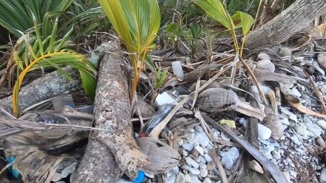 Sailing Fun in FUNAFUTI with DOLPHINS! EP60 смотреть онлайн