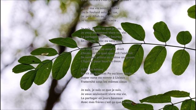 sous l'Acacia ... смотреть онлайн