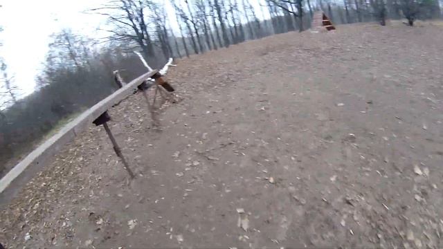 НЕРЕАЛЬНАЯ ДРЕССИРОВКА СТАФФОРДА смотреть онлайн