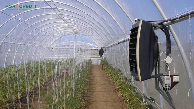 Жылыжый бизнесі | Оқыту роликтері смотреть онлайн