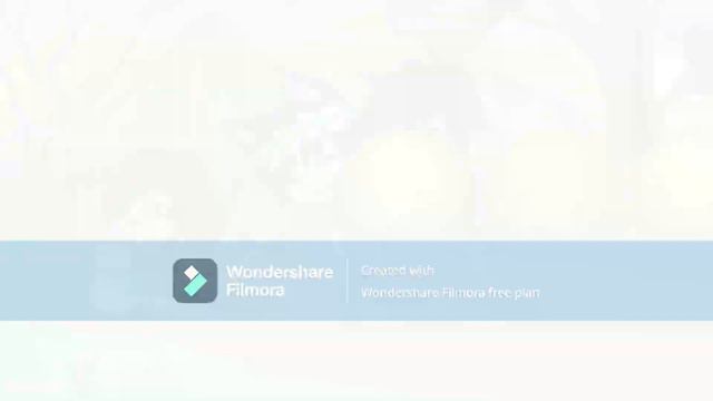 el cazador y el lobo meme смотреть онлайн