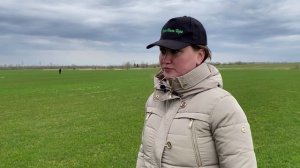 Укладка газона на старый газон | Частые вопросы