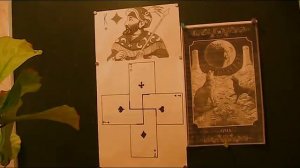 Почему волки и собаки воют на луну