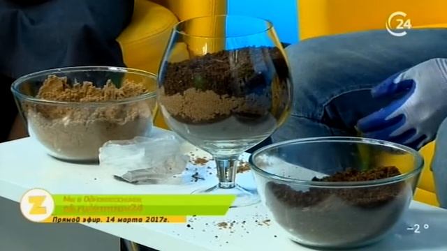 Гость: Иван Бахтин, директор питомника «Анемон» смотреть онлайн