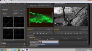 Как сделать черно белое видео в Premiere Pro