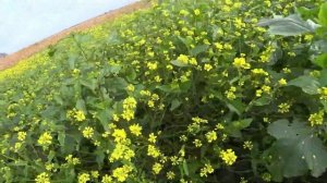 охота Сайга 12 исполнение 030