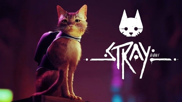 Stray часть 1