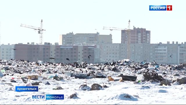 Через год в Архангельской области планируют запустить новый мусоросортировочный комплекс смотреть онлайн