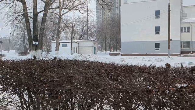 нижний новгород снег с дождем смотреть онлайн