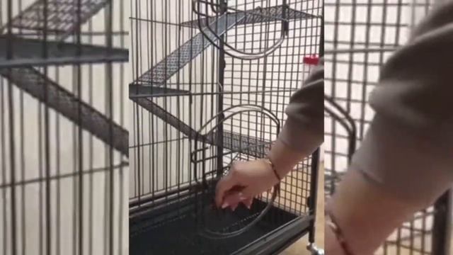 Клетка для грызунов универсальная на колесах смотреть онлайн