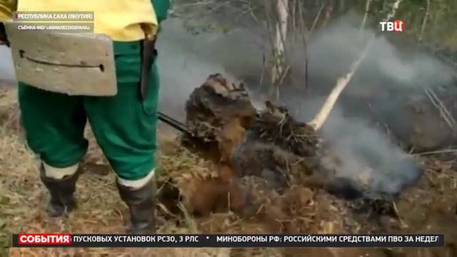 ТВ Центр Москва, 28 июня 2024
В российских регионах усиливают меры по борьбе с природными пожарами смотреть онлайн