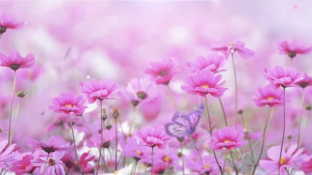 Счастье, трансформация и Божественная любовь (Центр "Даария") смотреть онлайн