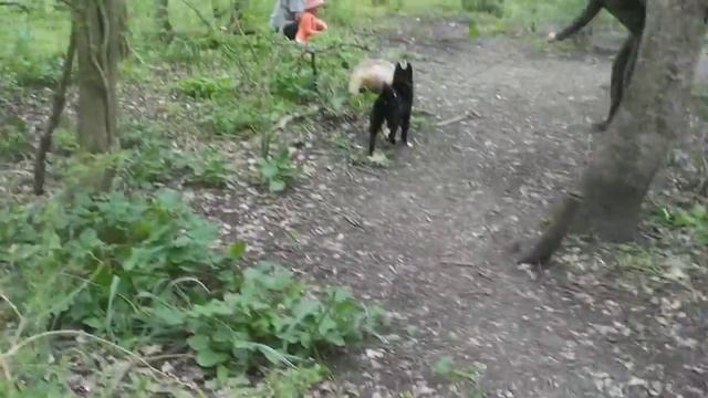 Смолка дочь К-Аяна смотреть онлайн