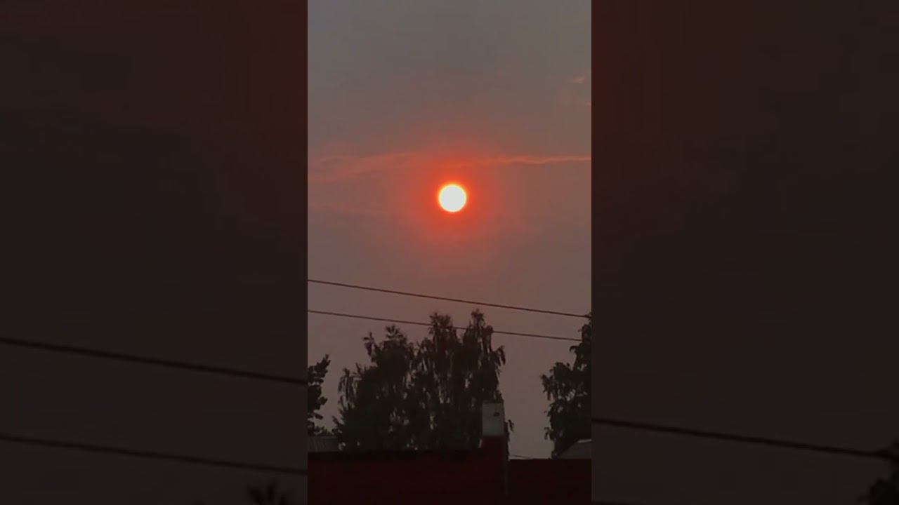 Красное солнце в Новосибирске 06.08.2022г. #shorts #новосибирск смотреть онлайн