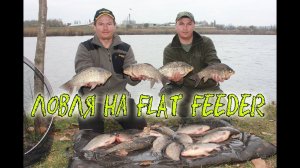 Ловля огромных карасей и карпов  на флэт метод. Flat Feeder HD