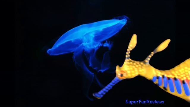 8 Amazing Sea Animals Shark Whale Fish Turtle Crab Seadragon