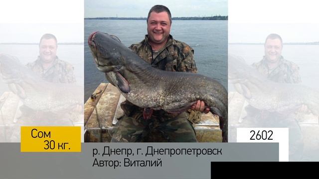 Фотоальбом - Рыбалка №520