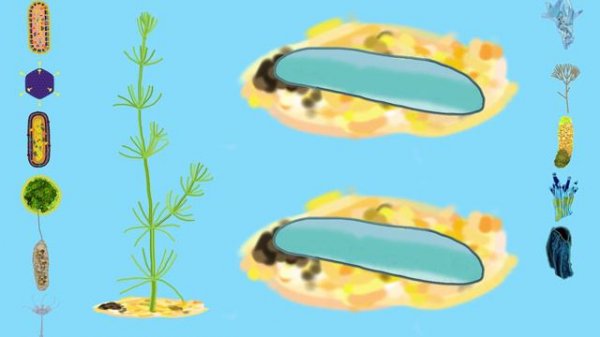 Awesome Human Evolution Timelapse