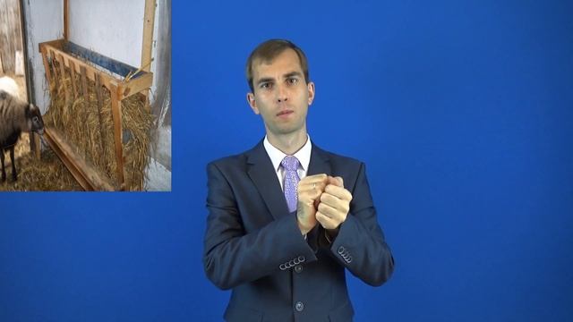 ЯСЛИ значение слова! РЖЯ смотреть онлайн