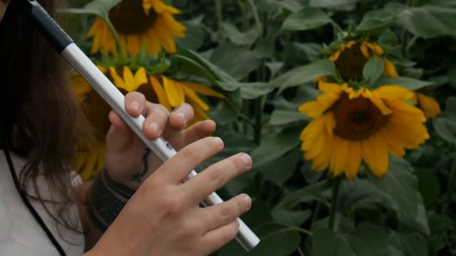 Spirited Away - One Summer's Day Cover | Tin Whistle (Flute) | Instrumental Flute Anime Music