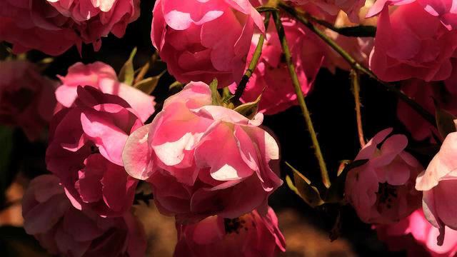 Море хороших русских новинок и фото 2015 смотреть онлайн