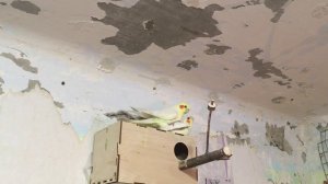 Спаривание корел