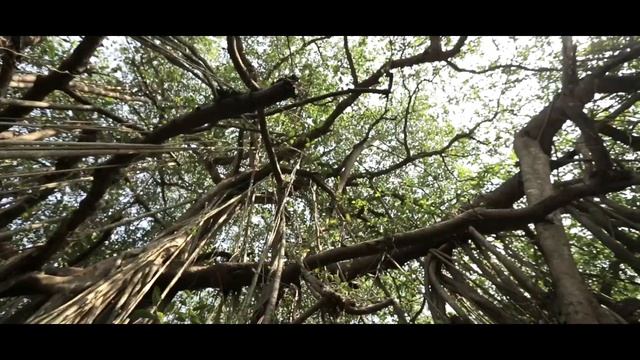 Рейтинг Баженова Аватар смотреть онлайн