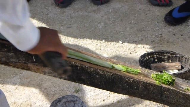 Making fibers out of Agave (continued)...Cozumel, Mexico смотреть онлайн