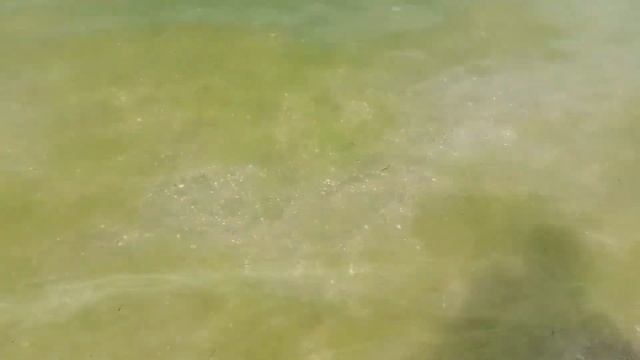 Анапа 19 июня 2023. Пляж Джемете. 10 утра. смотреть онлайн