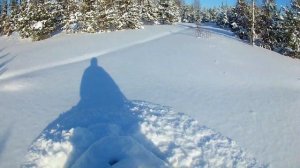 На снегоходах рысь в пухляк