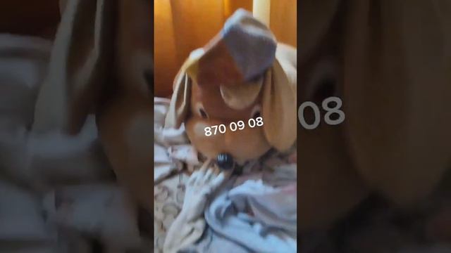 вот номер сестры только не говорите ей откуда у вас её номер смотреть онлайн