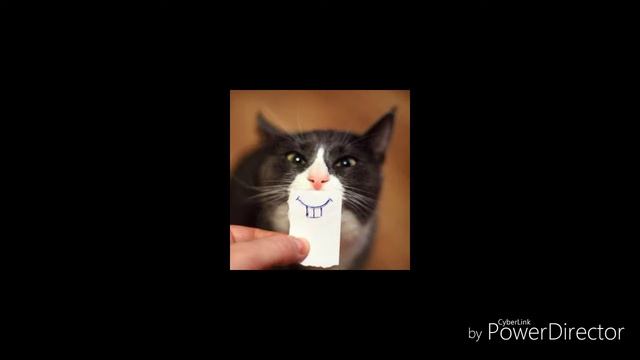 Смешная сказка ??? смотреть онлайн